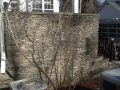 Stone wall2